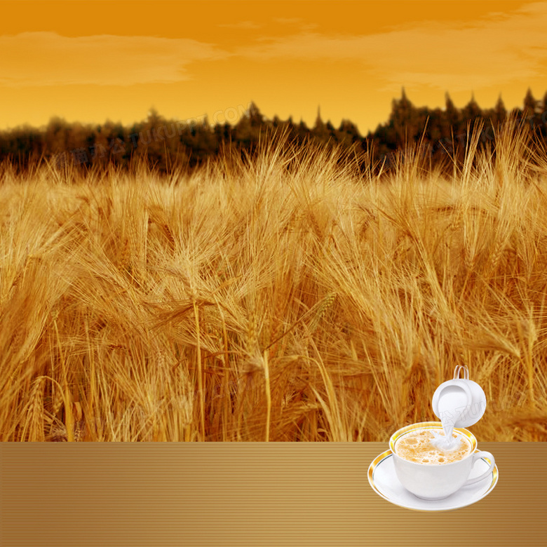 稻田麥子燕麥片PSD分層主圖背景素材 廣告制作的創意基石