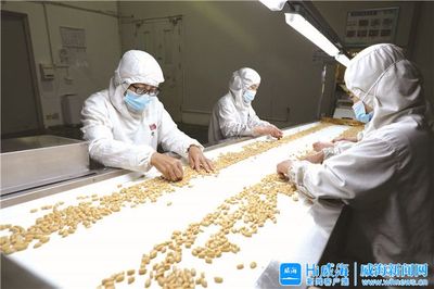 “金豆豆”托起致富夢 中糧山萃花生制品（威海）的產(chǎn)業(yè)振興之路
